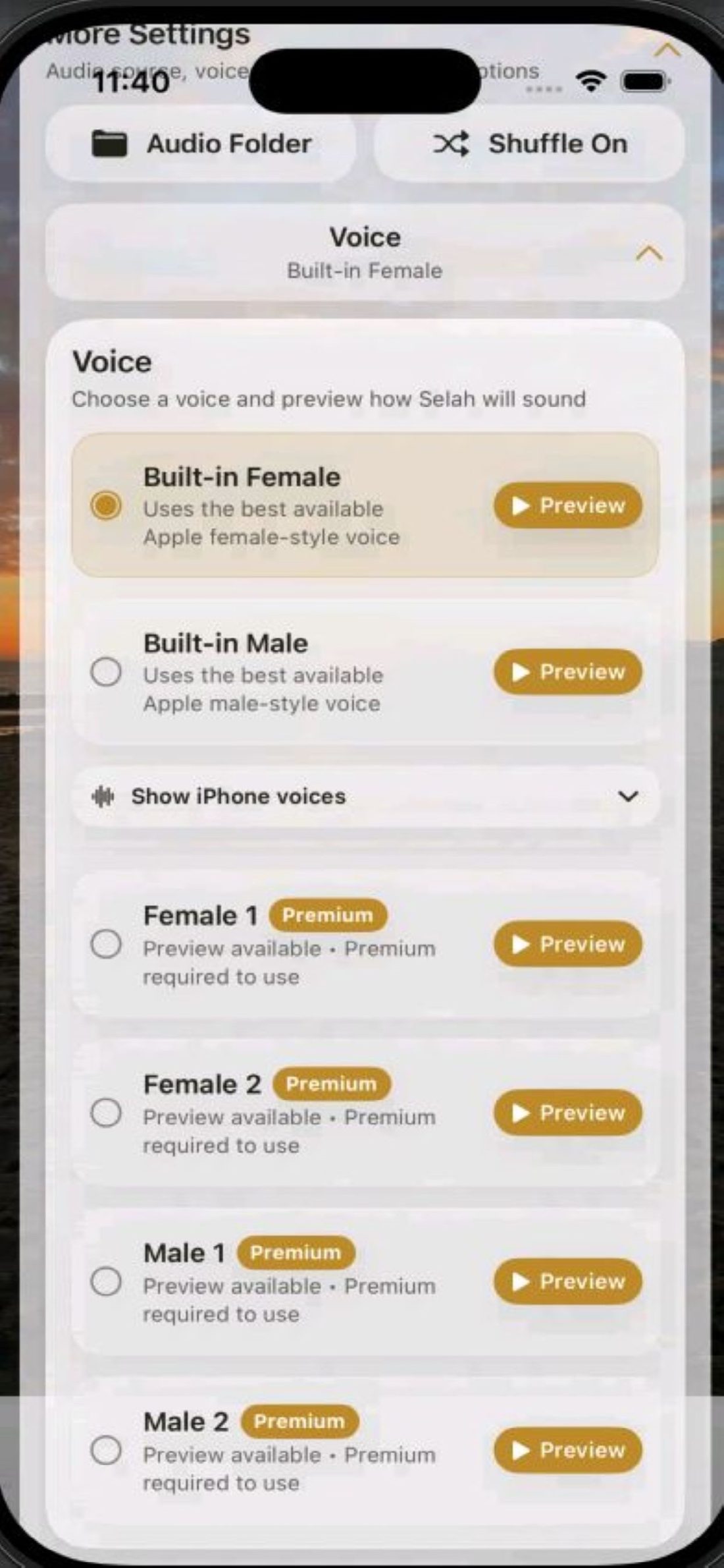 Voice settings in Selah Player